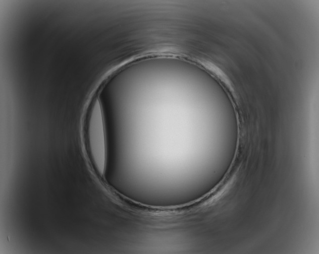 X0000088660989200705250958