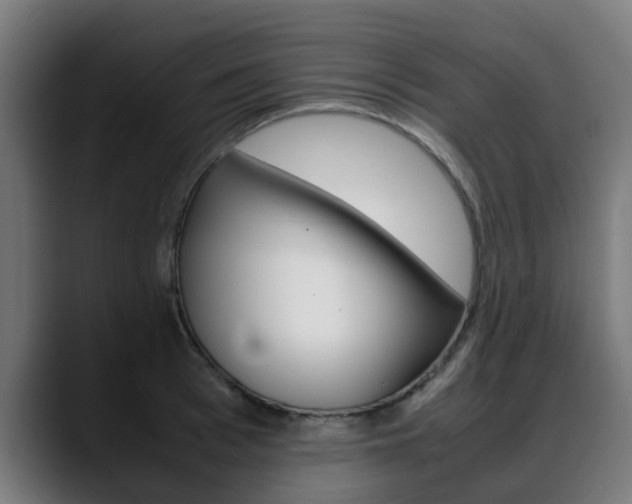 X0000088660993200705250958