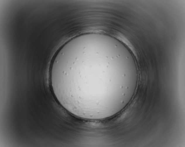 X0000088660994200705250958
