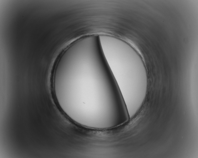 X0000088660995200705250958