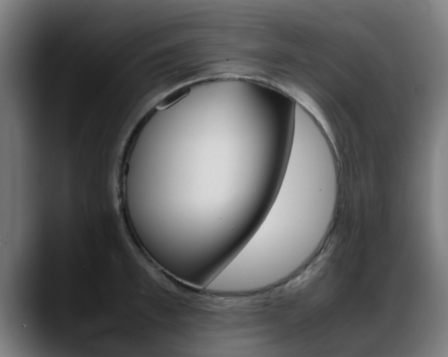 X0000088660997200705250958