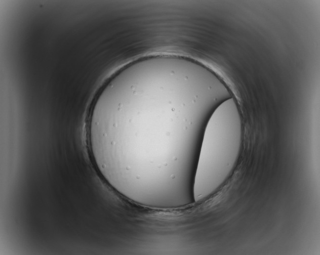 X0000088660998200705250958