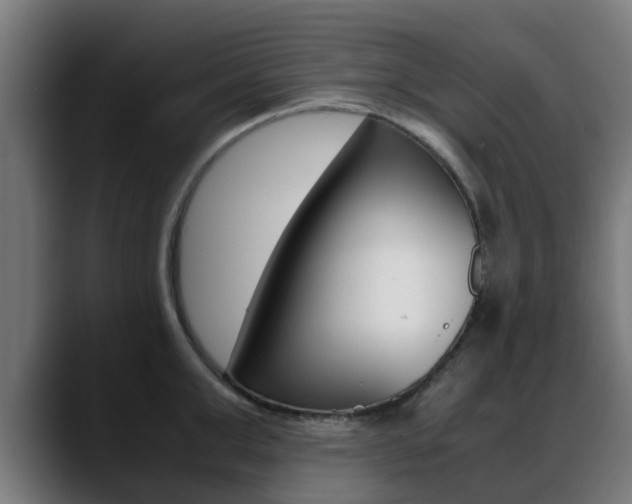 X0000088660999200705250958