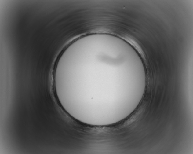 X0000088661000200705250958