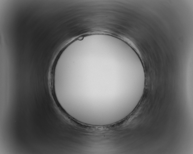 X0000088661003200705250958