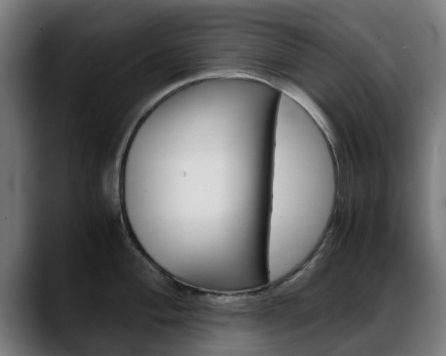 X0000088661004200705250958
