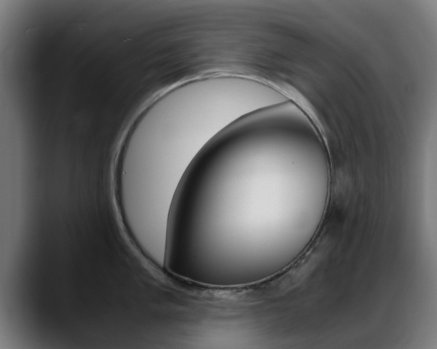 X0000088661005200705250958
