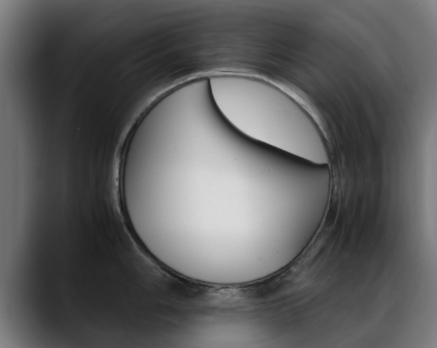X0000088661006200705250958