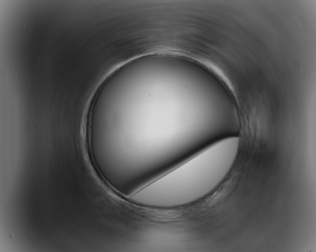 X0000088661007200705250958