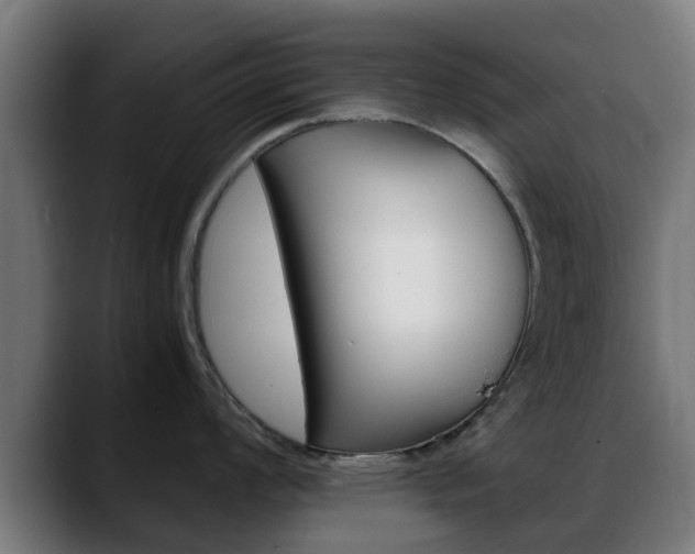 X0000088661008200705250958