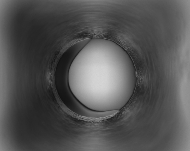 X0000088661010200705250957