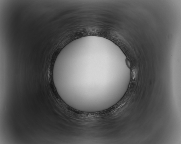 X0000088661011200705250957
