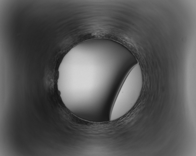 X0000088661012200705250957