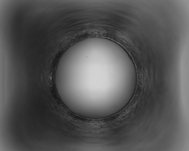 X0000088661013200705250957
