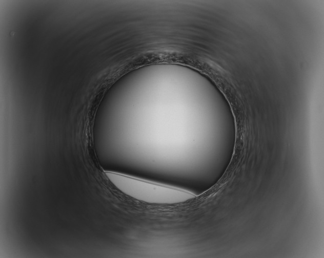 X0000088661014200705250957