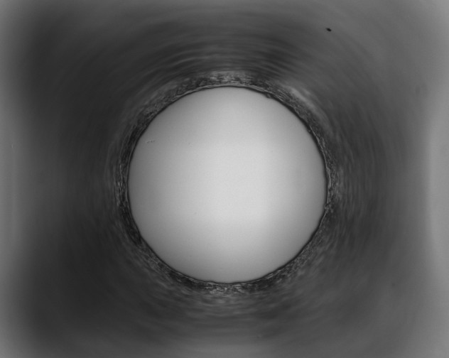X0000088661015200705250957