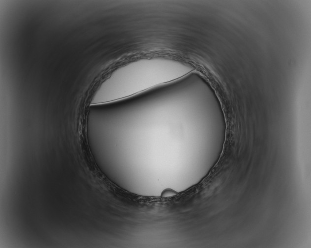 X0000088661016200705250957