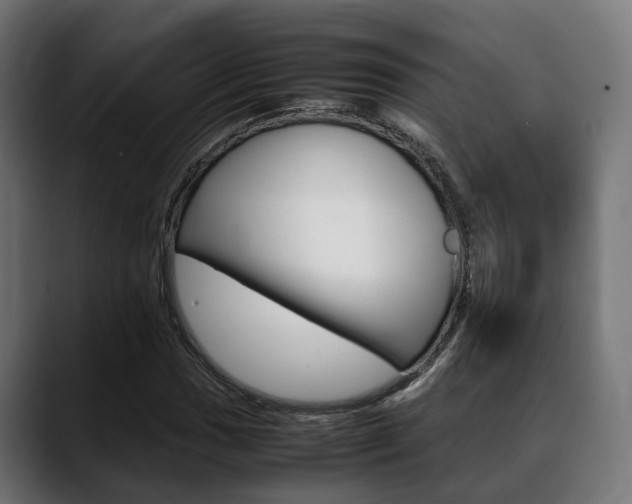 X0000088661017200705250957