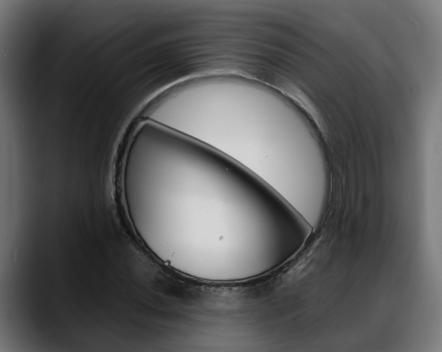 X0000088661020200705250957