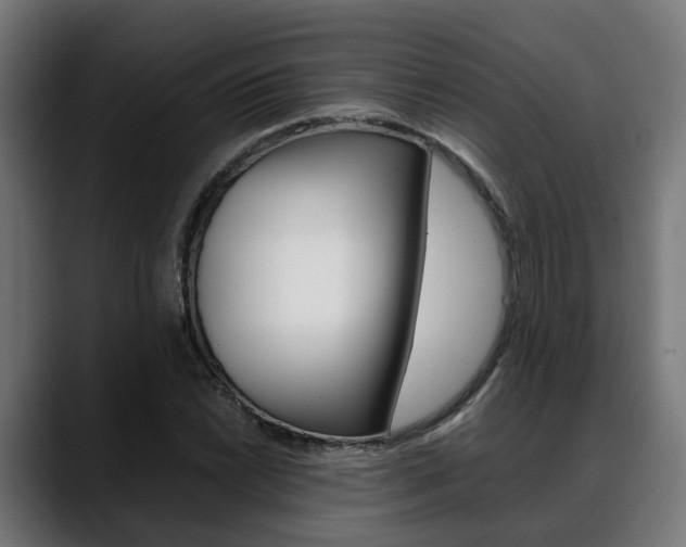 X0000088661022200705250957