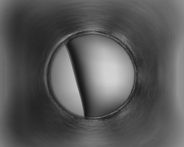 X0000088661024200705250957