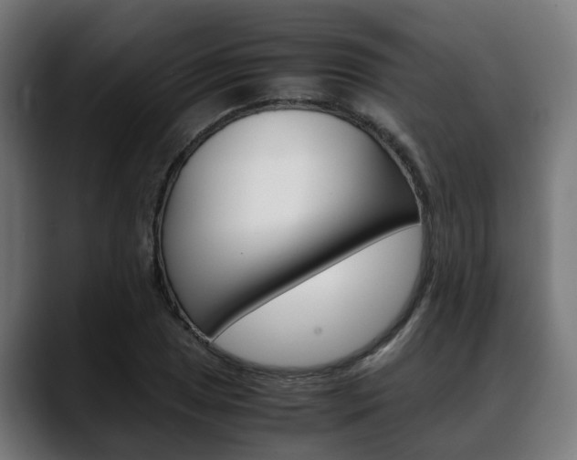 X0000088661025200705250957