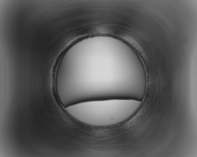 X0000088661031200705250958