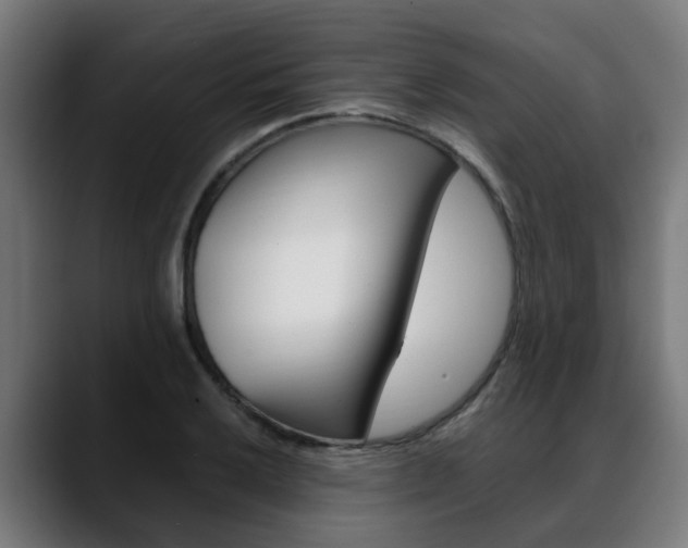 X0000088661032200705250958