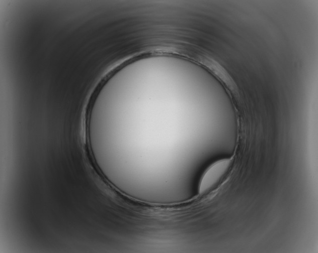 X0000088661036200705250958