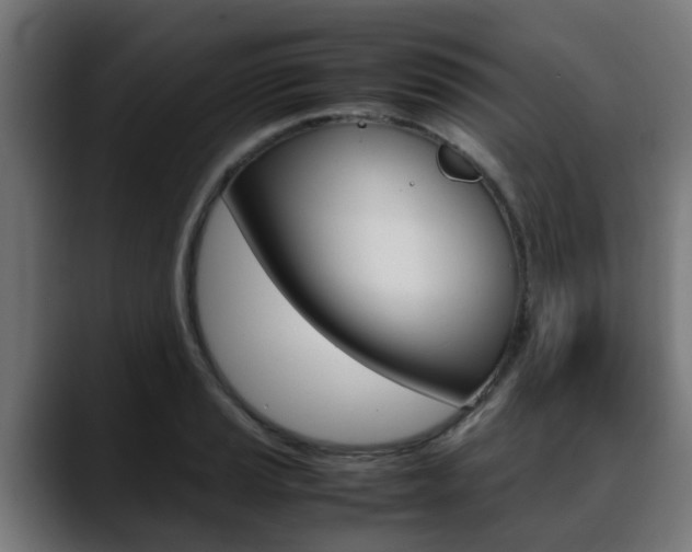 X0000088661037200705250958