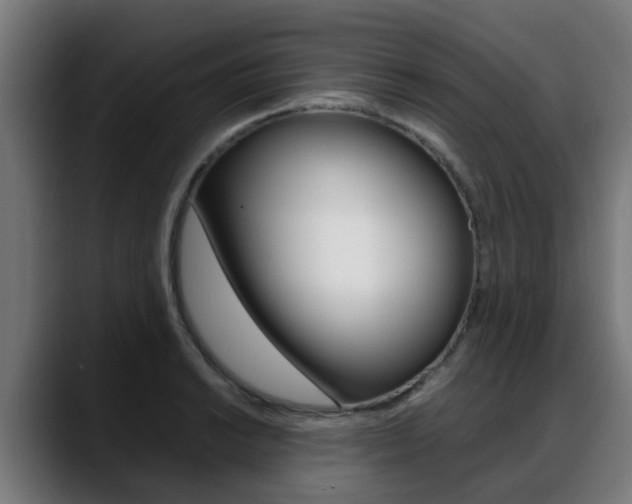 X0000088661038200705250958