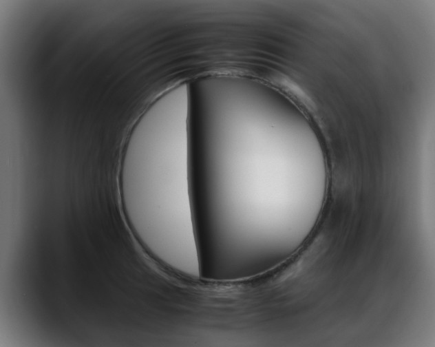 X0000088661041200705250958