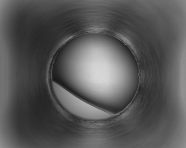 X0000088661042200705250958