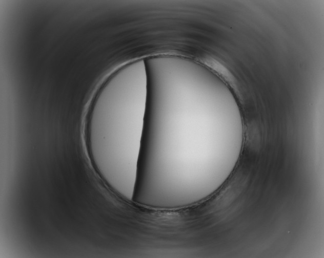 X0000088661043200705250958