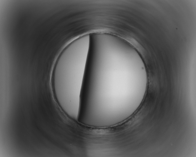 X0000088661044200705250958