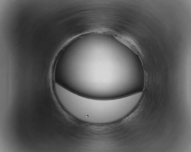 X0000088661046200705250958