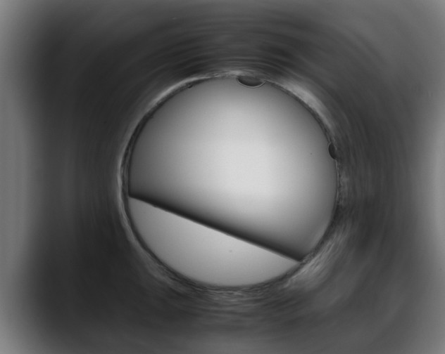 X0000088661047200705250958
