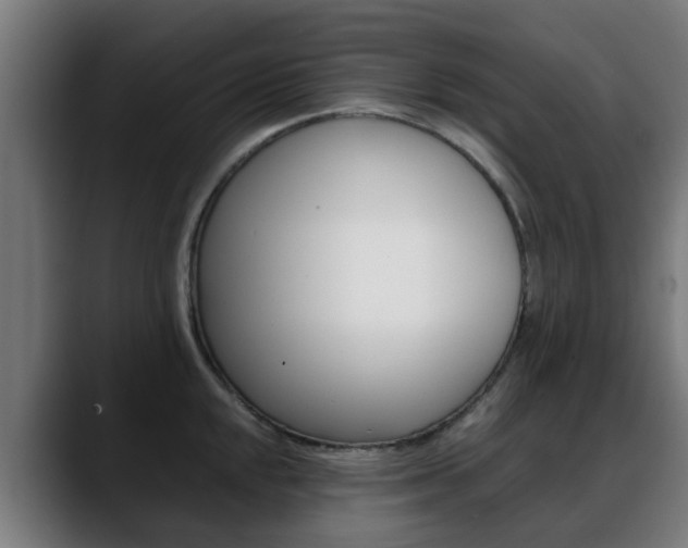 X0000088661048200705250958
