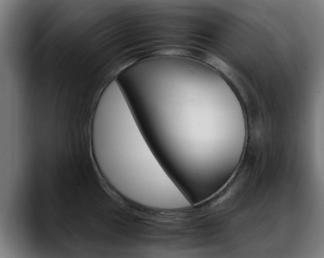 X0000088661049200705250958