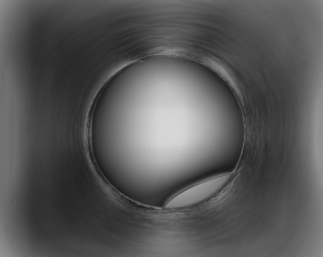 X0000088661050200705250958