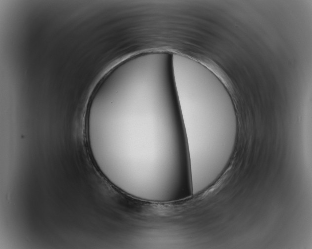 X0000088661052200705250958