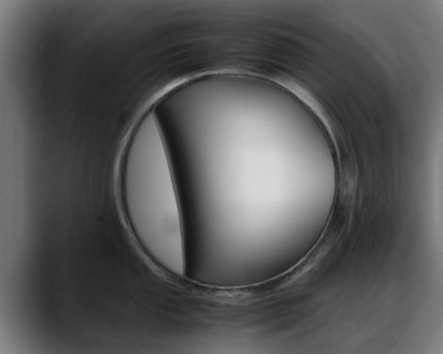 X0000088661053200705250958