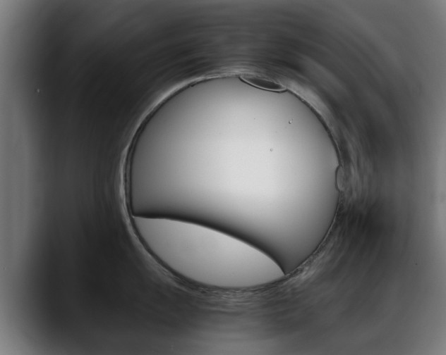 X0000088661055200705250958