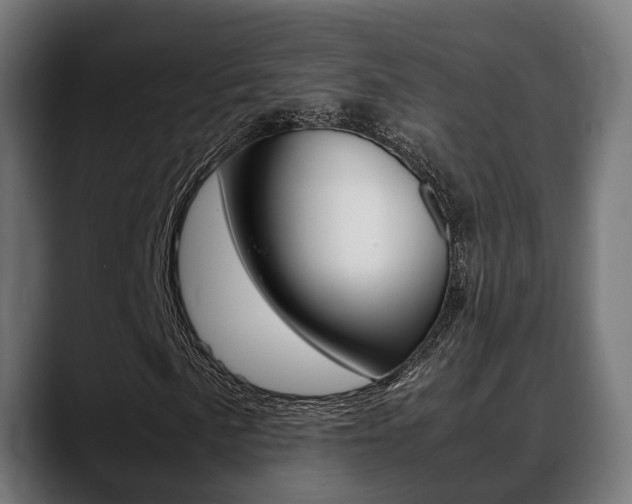 X0000088661057200705250957