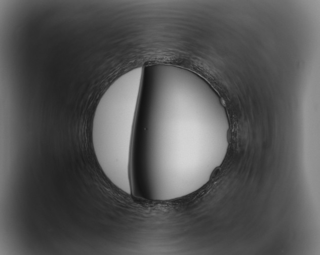 X0000088661058200705250957