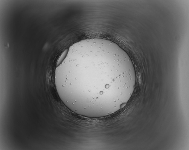 X0000088661059200705250957