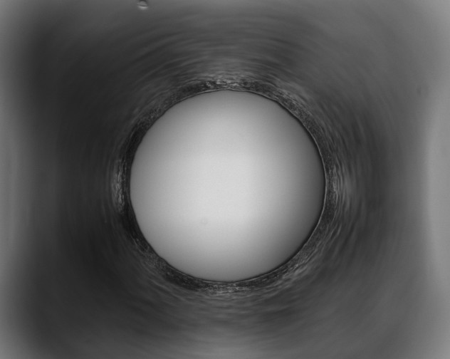 X0000088661060200705250957