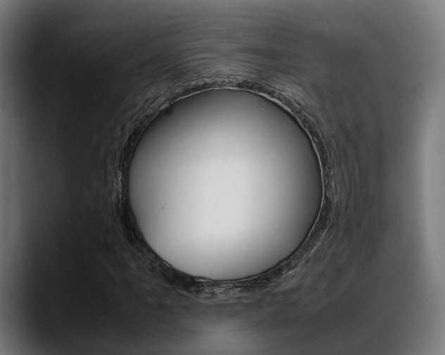 X0000088661061200705250957
