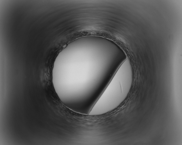 X0000088661062200705250957