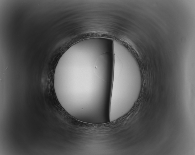 X0000088661064200705250957